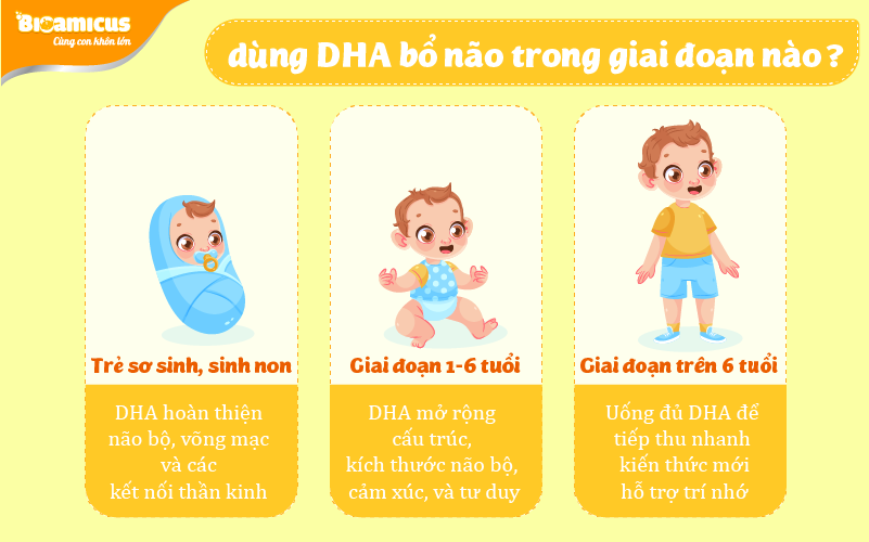 giai đoạn sử dụng DHA bổ não cho bé