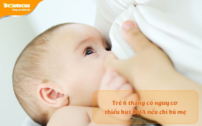 trẻ 6 tháng chỉ bú mẹ có nguy cơ thiếu hụt DHA