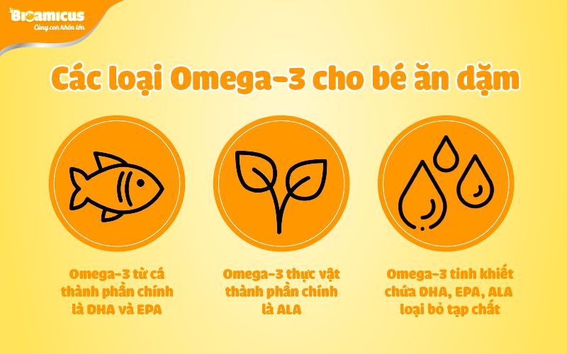 các loại omega-3 cho trẻ ăn dặm
