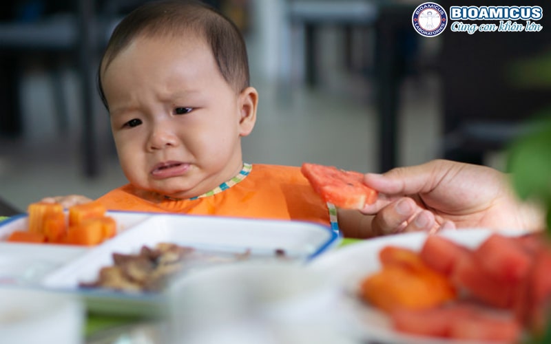 Trẻ Biếng Ăn Phải Làm Sao? 3 Nguyên Nhân Chính Và Phương Pháp Cho Mẹ Tại Nhà