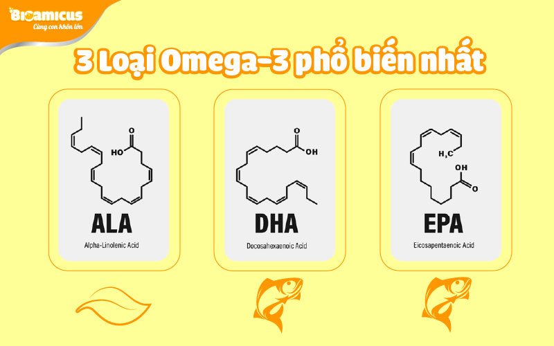 3 loại Omega-3 phổ biến nhất
