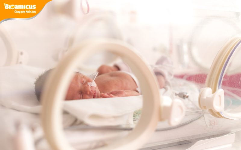 trẻ sinh non cần bổ sung omega-3 DHA ngay sau khi chào đời