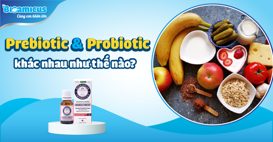 probiotic và prebiotic là gì khác nhau như thế nào