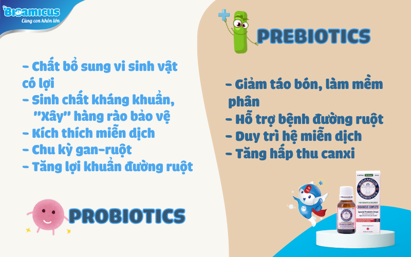 các tác dụng của probiotics và prebiotics tốt cho sức khỏe đường ruột theo các nghiên cứu