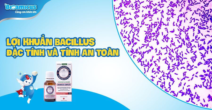 Lợi khuẩn Bacillus được sử dụng làm chế phẩm sinh học cho người: Đặc tính và tính an toàn