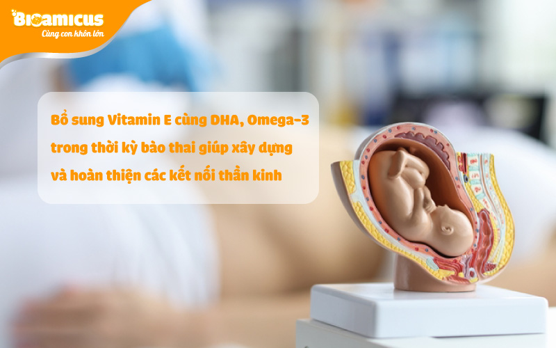 lợi ích khi bổ sung omega-3 cùng vitamin E trong thai kỳ