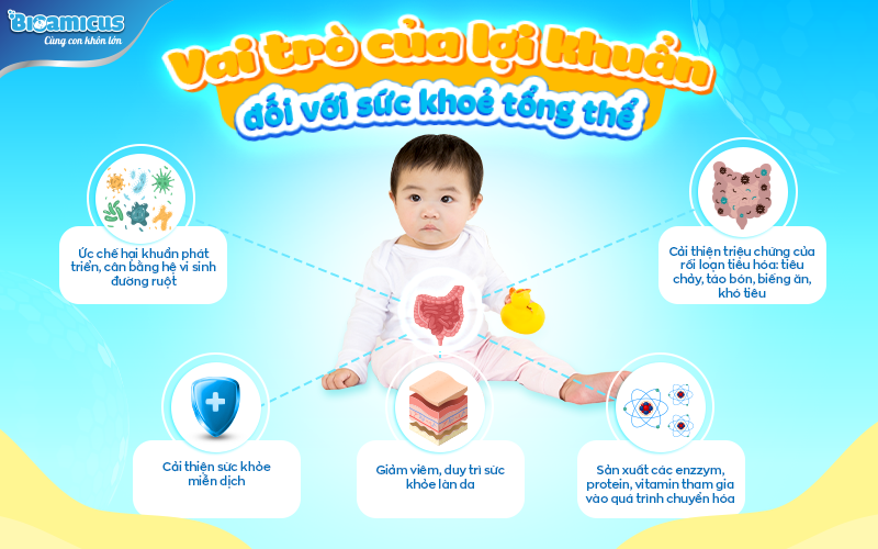 các vai trò của lợi khuẩn cho bé