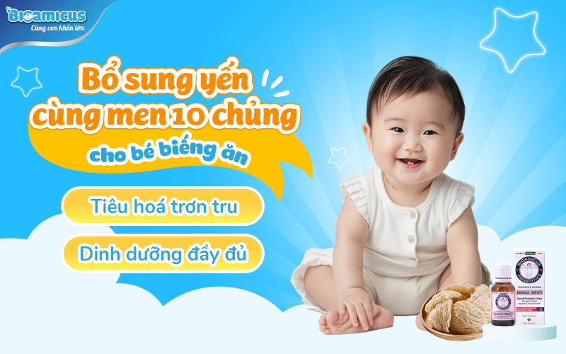 bổ sung men 10 chủng và yến kích thích trẻ ăn ngon