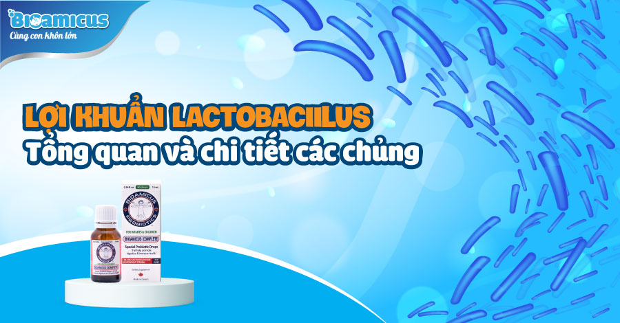 Lợi khuẩn Lactobaciilus: Tổng quan và chi tiết các chủng