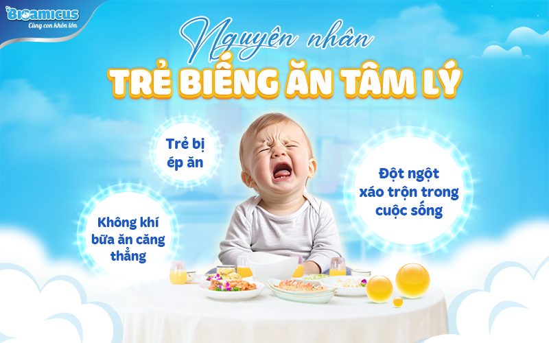 nguyên nhân trẻ biếng ăn tâm lý