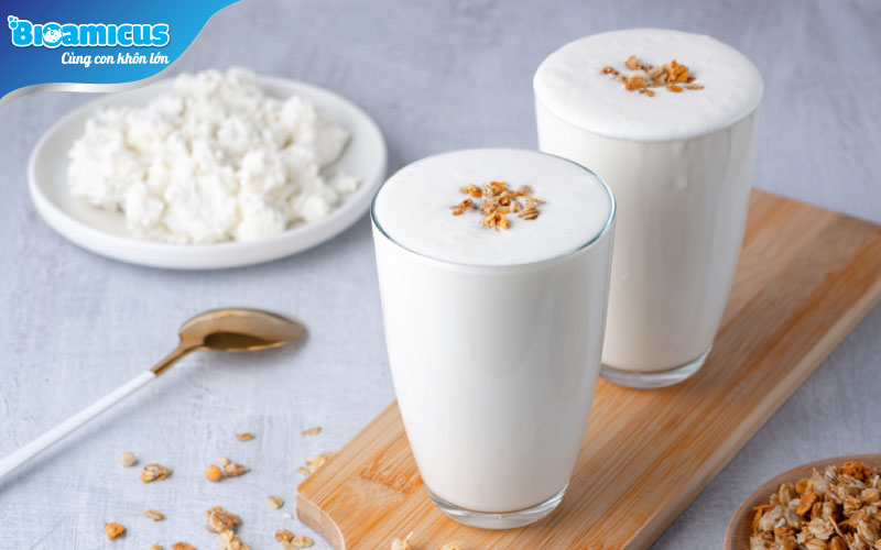 sữa chua chứa lợi khuẩn lactobacillus