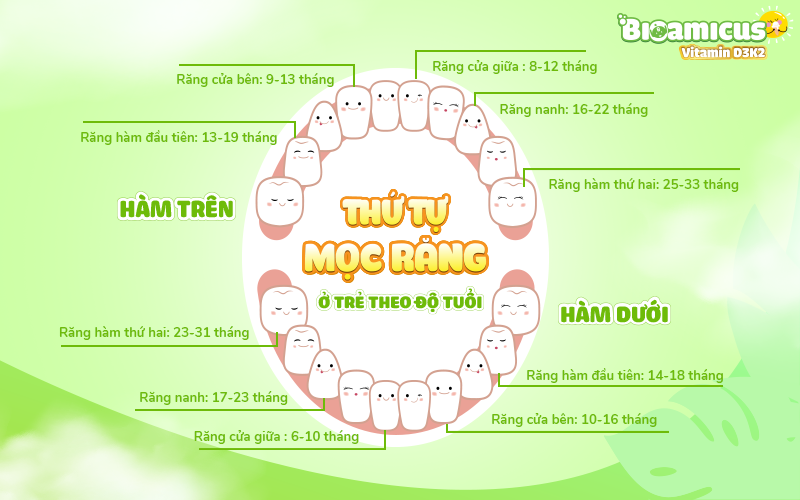 thứ tự mọc răng ở trẻ