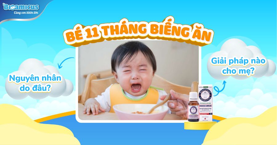 Bé 11 tháng biếng ăn, chậm tăng cân - Mẹ phải làm gì?