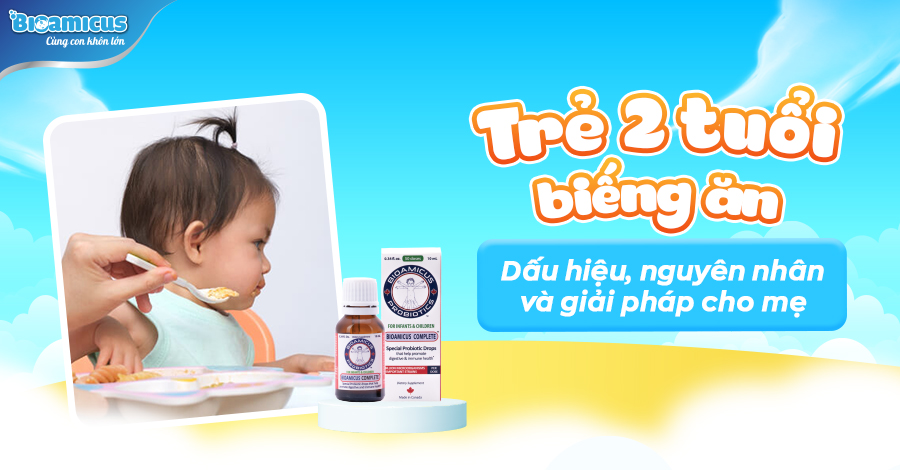 trẻ 2 tuổi biếng ăn: nguyên nhân và giải pháp