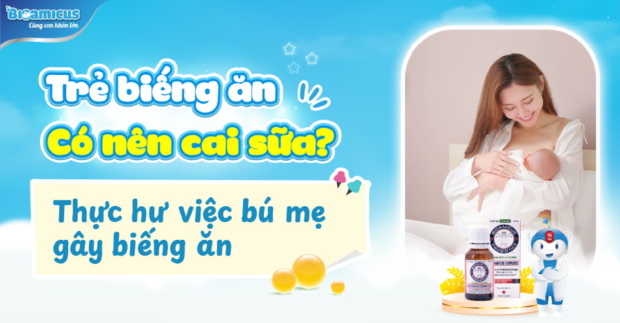 Trẻ biếng ăn có nên cai sữa không? Thực hư việc bú mẹ gây biếng ăn