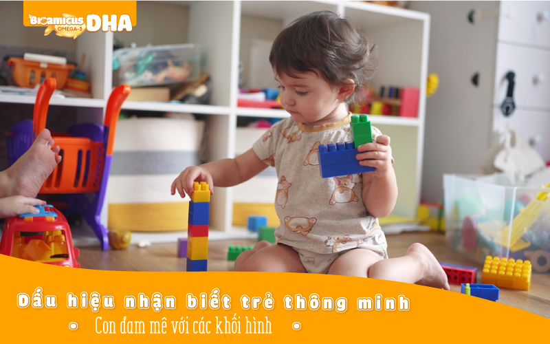 Em bé thông minh thích chơi với các khối hình