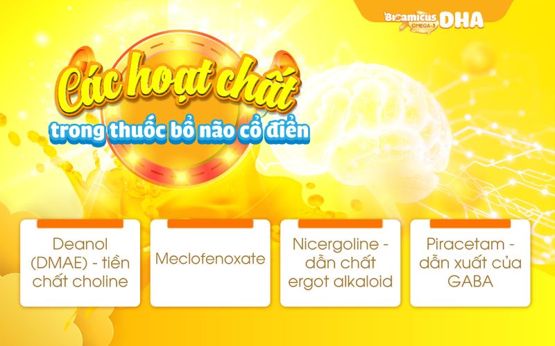 các hoạt chất trong thuốc bổ não cổ điển