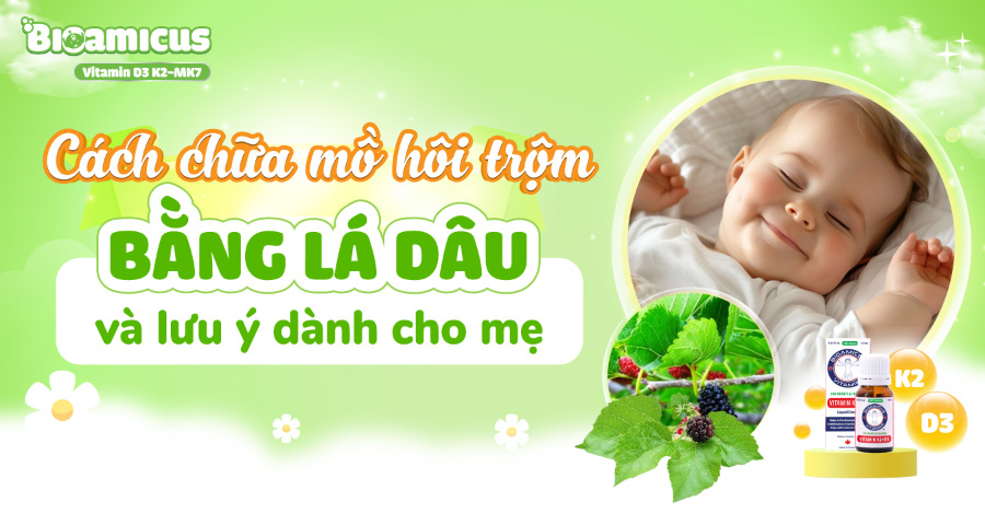 Cách chữa mồ hôi trộm bằng lá dâu và lưu ý dành cho mẹ