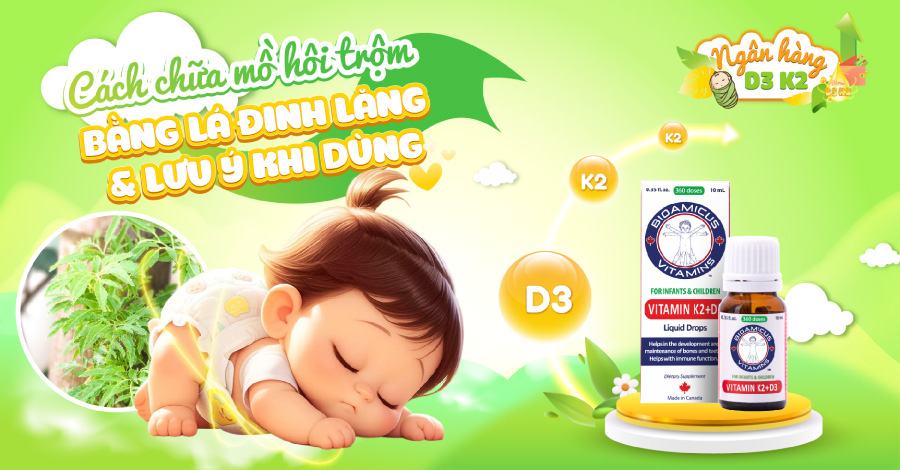 2 cách chữa mồ hôi trộm bằng lá đinh lăng và lưu ý cho mẹ