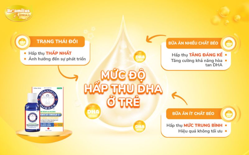 mức độ hấp thu dha của trẻ phụ thuộc bữa ăn