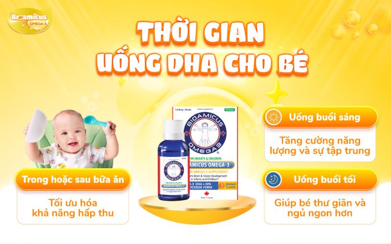 uống dha vào thời điểm nào trong ngày