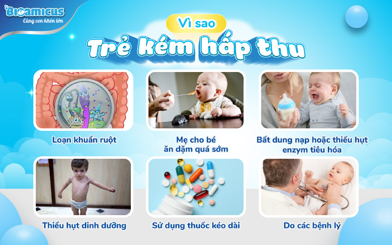 nguyên nhân vì sao trẻ kém hấp thu