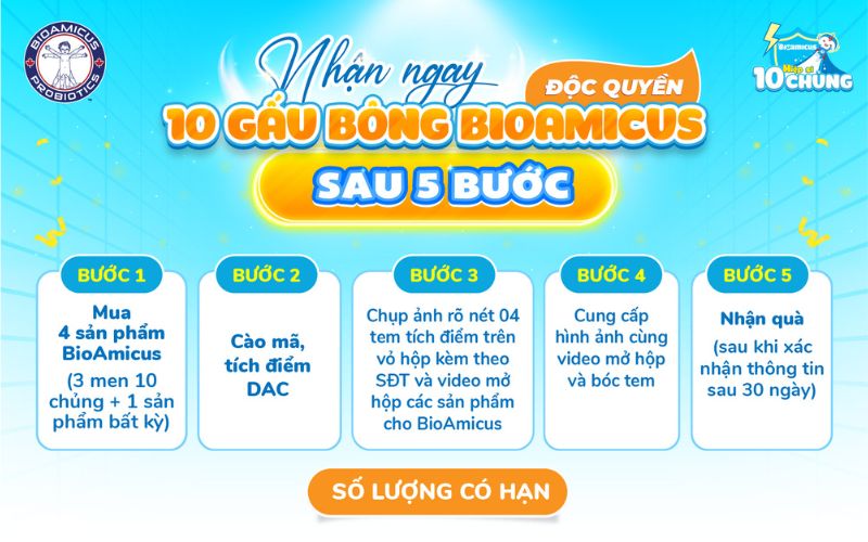 quy trình săn biệt đội gấu bông 10 chủng