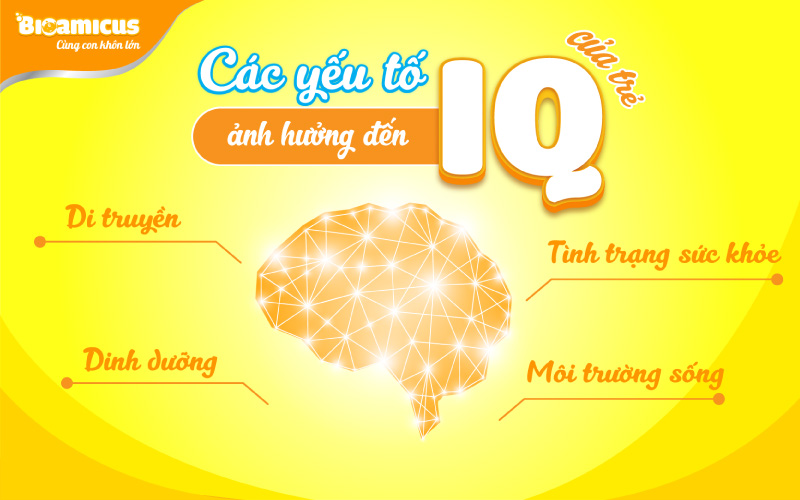 Các yếu tố ảnh hưởng đến IQ của trẻ