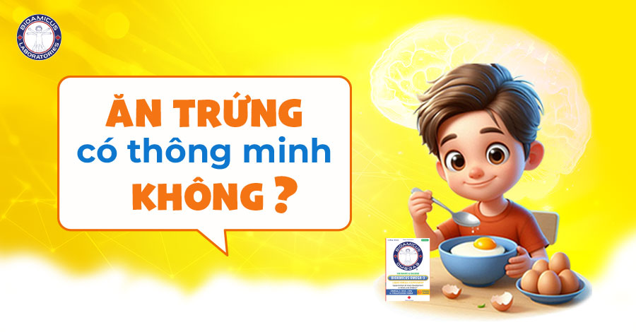 Ăn trứng có thông minh không? 4 dinh dưỡng từ trứng giúp trẻ thông minh hơn