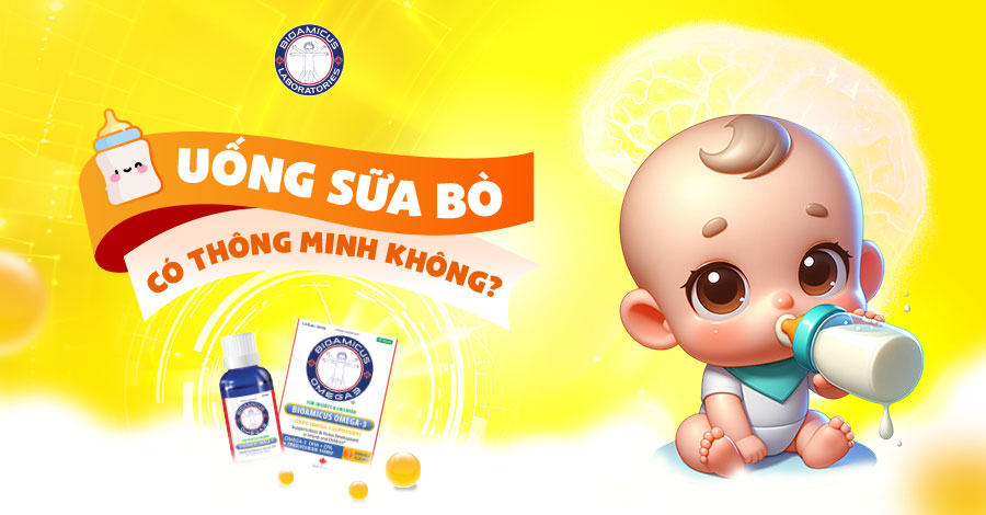 uống sữa bò có thông minh không?