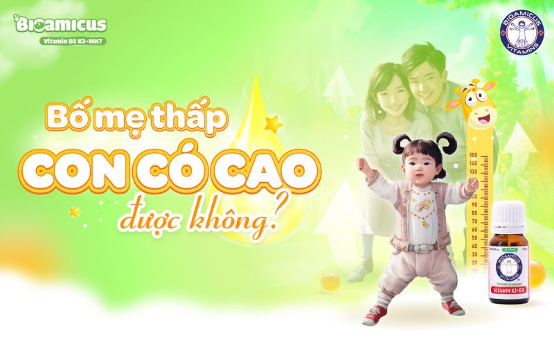 bố mẹ thấp con có cao được không