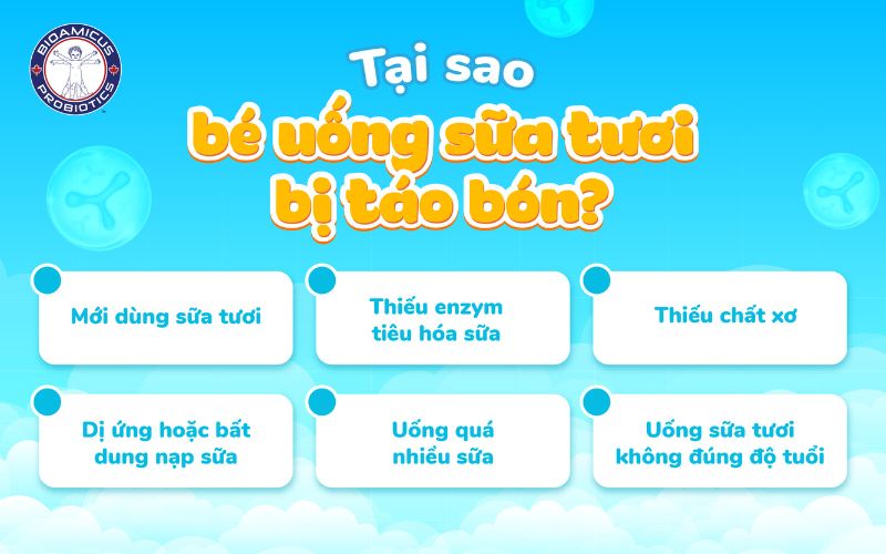 tại sao bé uống sữa tươi bị táo bón