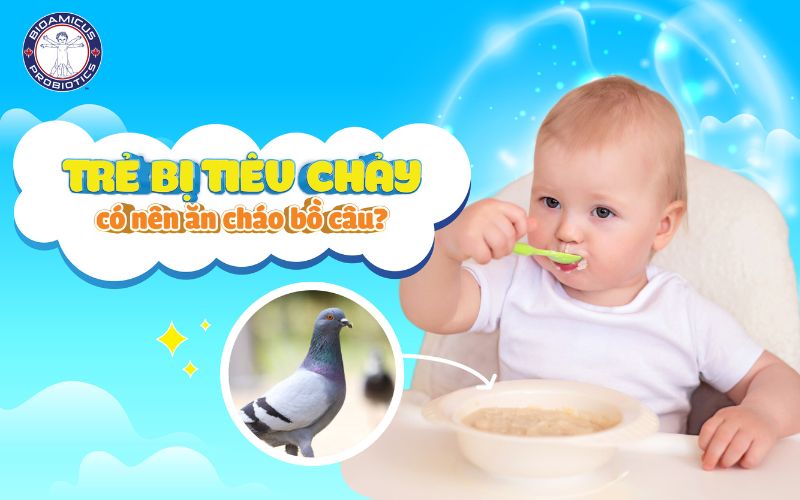 trẻ bị tiêu chảy có nên ăn cháo bồ câu