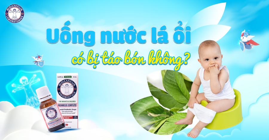 Uống nước lá ổi có bị táo bón không? Góc giải đáp khoa học