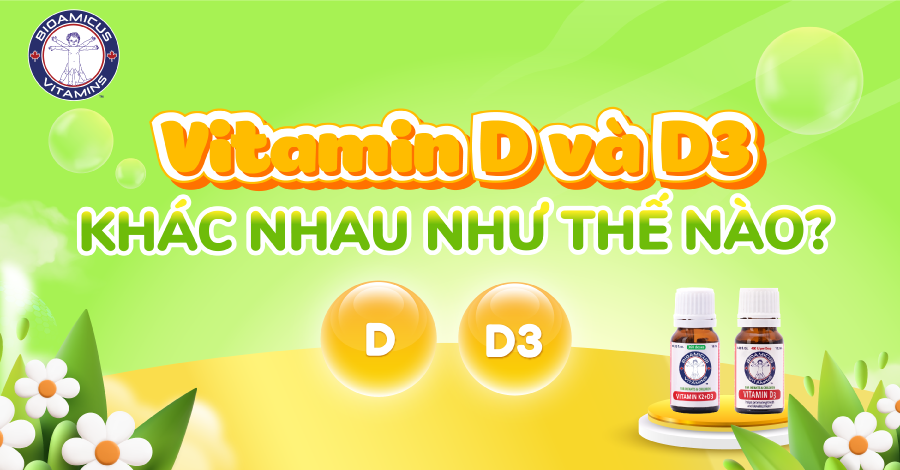 Vitamin D và D3 khác nhau như thế nào? Khám phá ngay