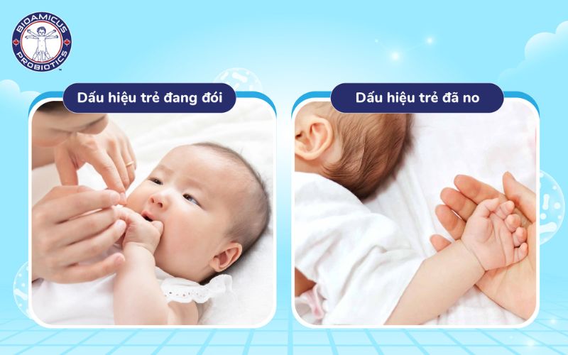 Cần chú ý dấu hiệu đói và no của trẻ để cho bú theo nhu cầu