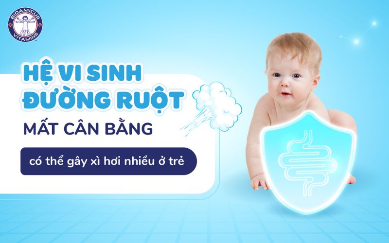 Mất cân bằng hệ vi sinh đường ruột có thể gây xì hơi nhiều