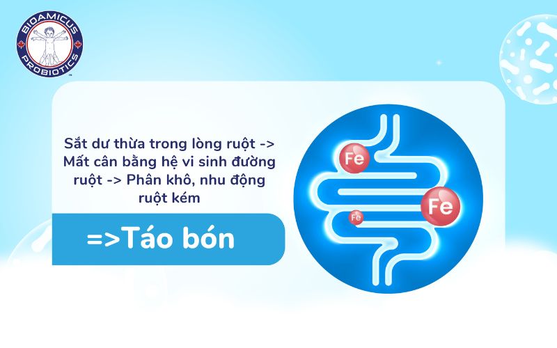 Sắt dư thừa gây mất cân bằng hệ vi sinh đường ruột