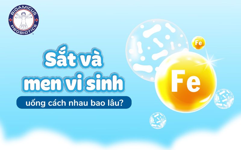 sắt và men vi sinh uống cách nhau bao lâu