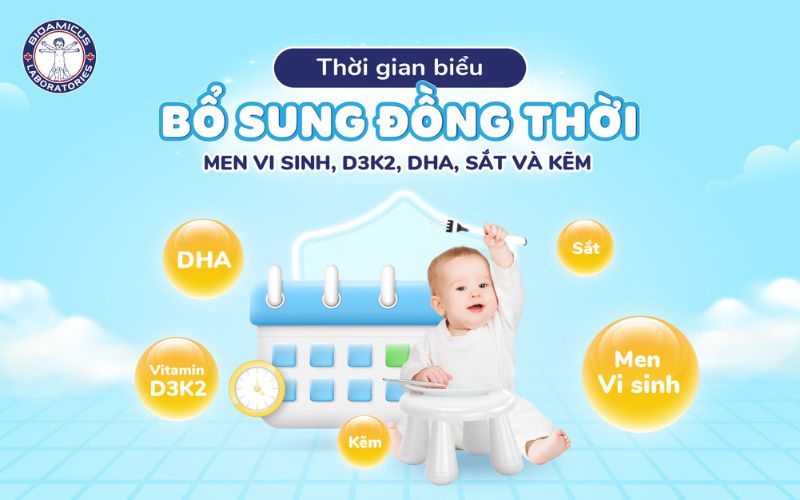thời gian biểu bổ sung đồng thời men vi sinh, d3k2, dha cho bé