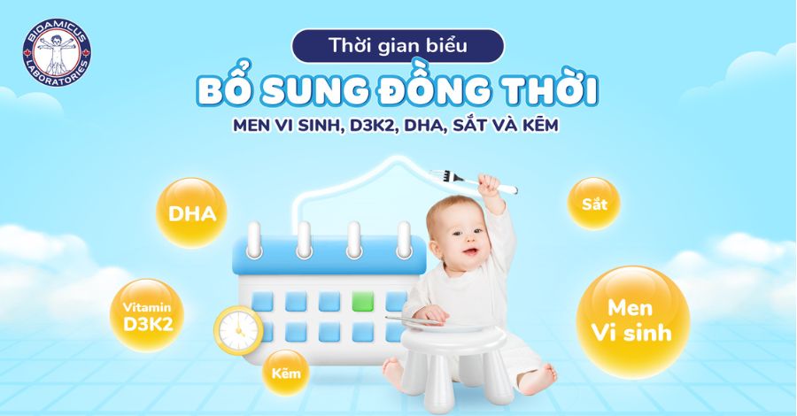 Thời gian biểu bổ sung đồng thời men vi sinh, sắt, kẽm, D3K2 và DHA cho bé