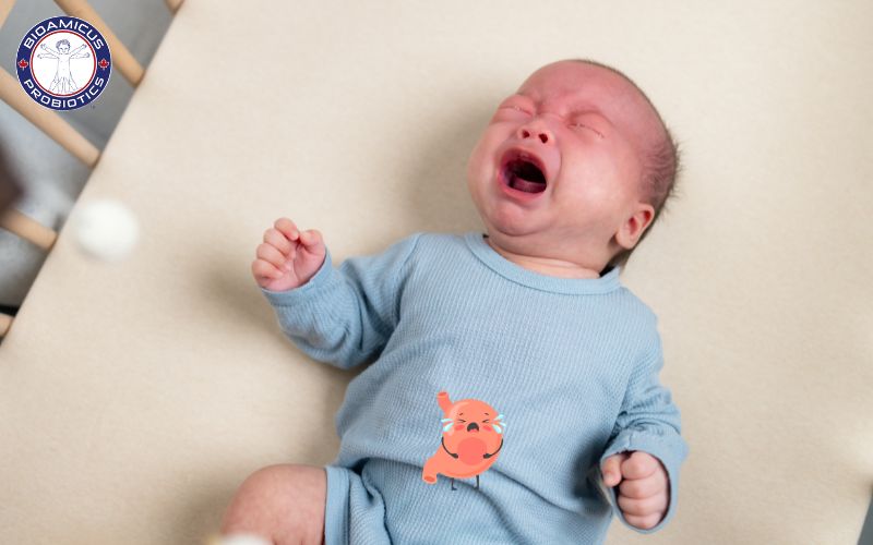 Tiêu hóa không khỏe khiến trẻ mệt mỏi và lười ti bình