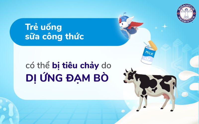 Trẻ uống sữa công thức có thể bị tiêu chảy do dị ứng đạm bò
