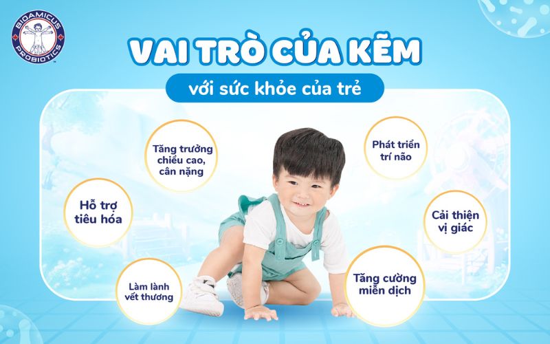 Vai trò của kẽm với sức khỏe của trẻ