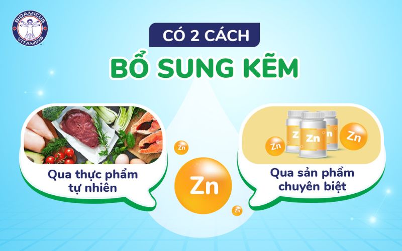 2 Cách bổ sung kẽm cho bé