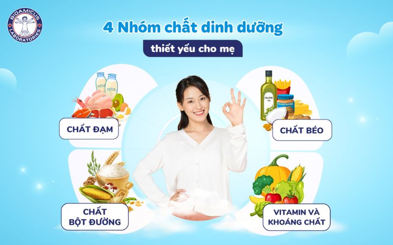 4 nhóm chất dinh dưỡng thiết yếu cho mẹ