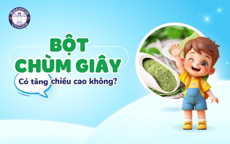 Bột chùm ngây có tăng chiều cao không?