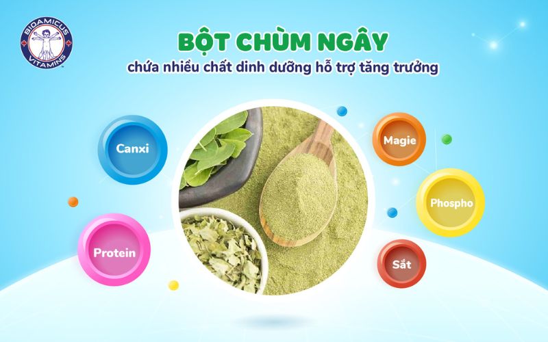 Bột chùm ngây chứa nhiều dưỡng chất hỗ trợ tăng trưởng