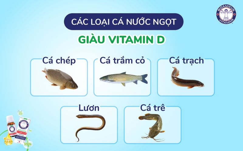 Các loại cá nước ngọt giàu Vitamin D