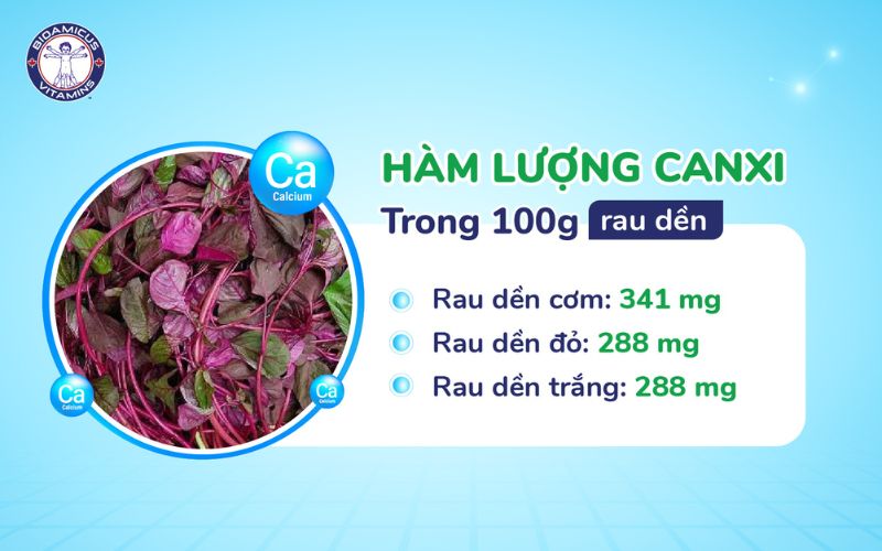 Hàm lượng canxi trong rau dền